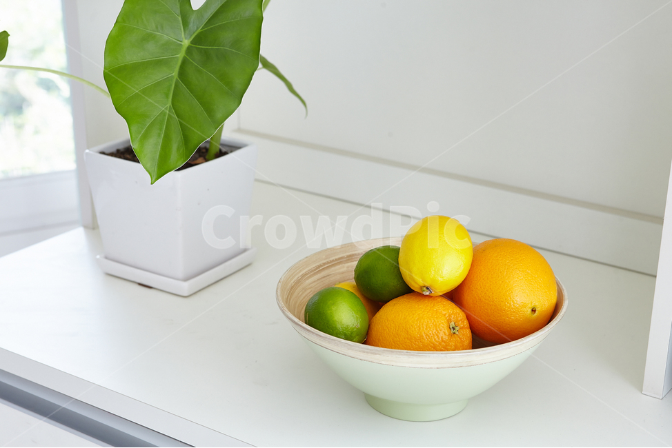 과일,신선,프레쉬,오렌지,웰빙,신선함,레몬,실내용화초,화분,화초,house plant,음식,식재료,요리,food,cook,meal,dishes,food reserves,과일,열매,fruit,사물,물건,오브젝트,thing,object,matter,연출,컨셉,콘셉,direction,concept