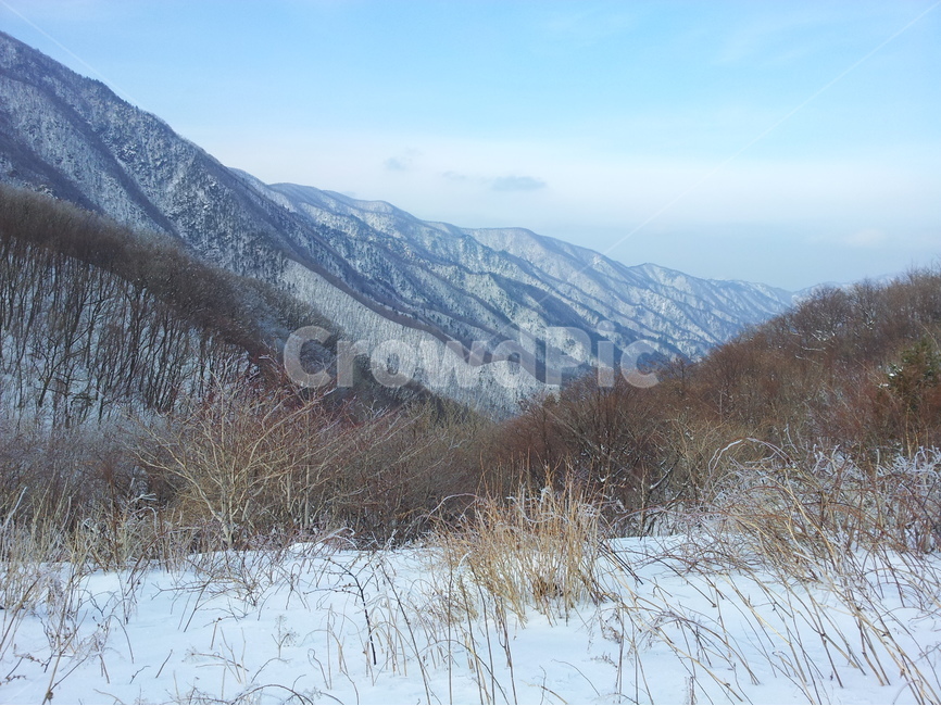 오대산,겨울,설경,산,눈,겨울,계절,winter,season,자연,풍경,nature,landscape,한국자연풍경,한국자연경관,korea nature landscape,outdoors,옥외,mountain range,산맥,mountain,slope,경사