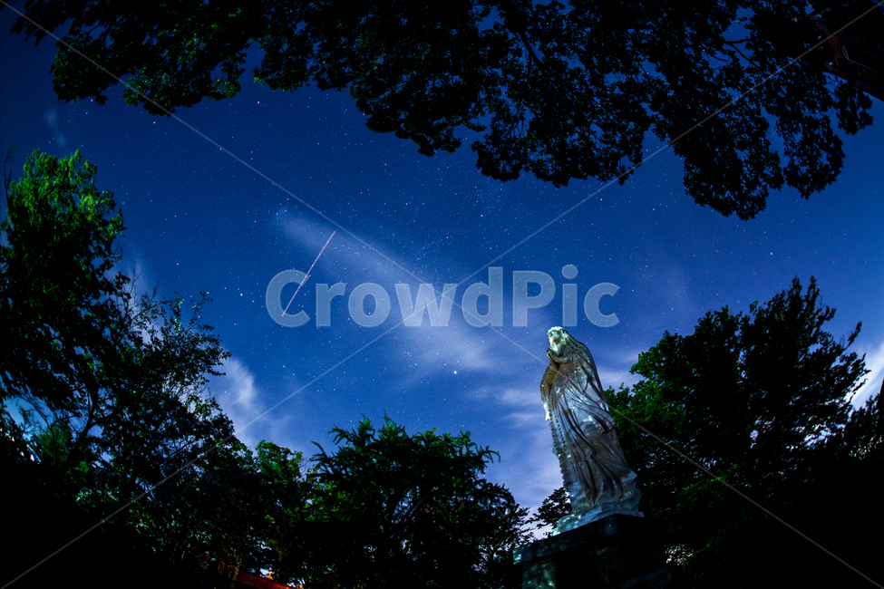 야경,별,성당,성모마리아,감성,야경,밤,풍경,nightscape,night,landscape,조각상,동상,석상,조형물,statue,bronze statue,stone statue,종교,신앙,religion,belief,faith,nature,자연,outdoors,옥외,outer space,대기권 밖,astronomy,천문학,universe,우주