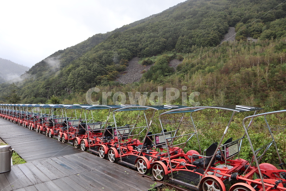 강원도,정선,레일바이크,레저,정선레일바이크,교통,교통수단,traffic,transportation