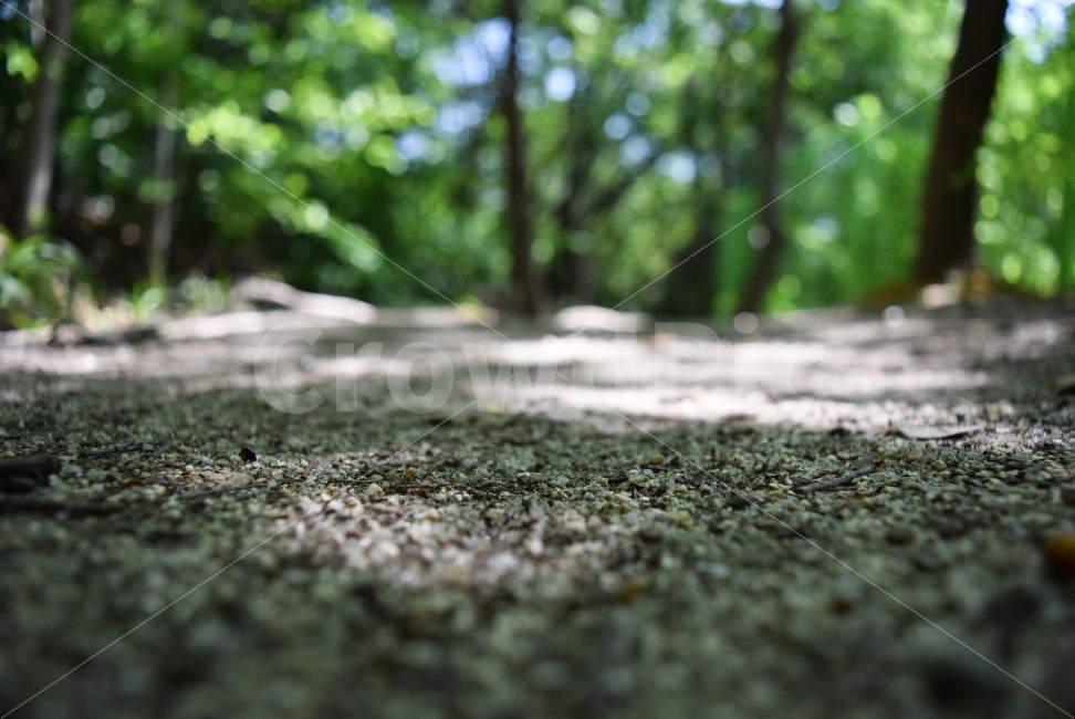 흙,배경,자연,편안함,모래,산,자연,풍경,nature,landscape,asphalt,아스팔트,ground,바닥,road,도로,dirt road,흙길,gravel,자갈