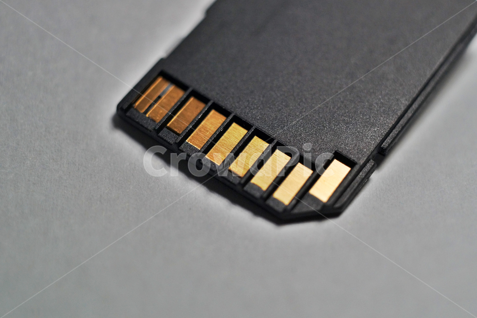 data,Memory,sd memory,small storage device,memory card,Small digital device