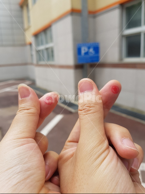 인간,human,사람,person,선거,도장