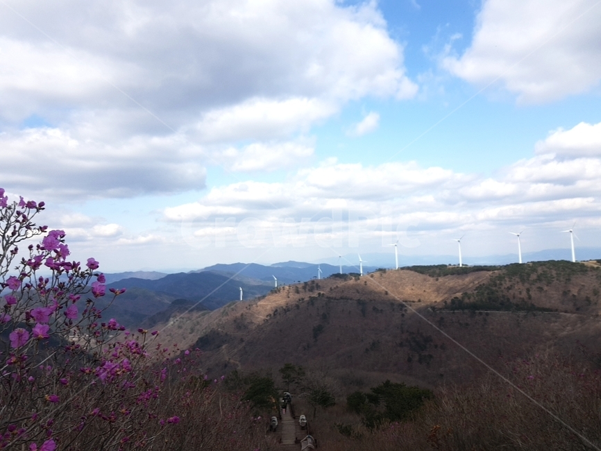 꽃,나무,자연,하늘,구름,산,등산,옥외,nature,outdoors