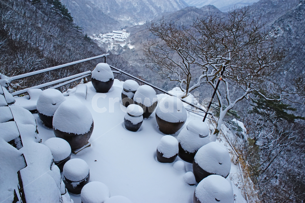 겨울,설경,사찰,백양사,눈