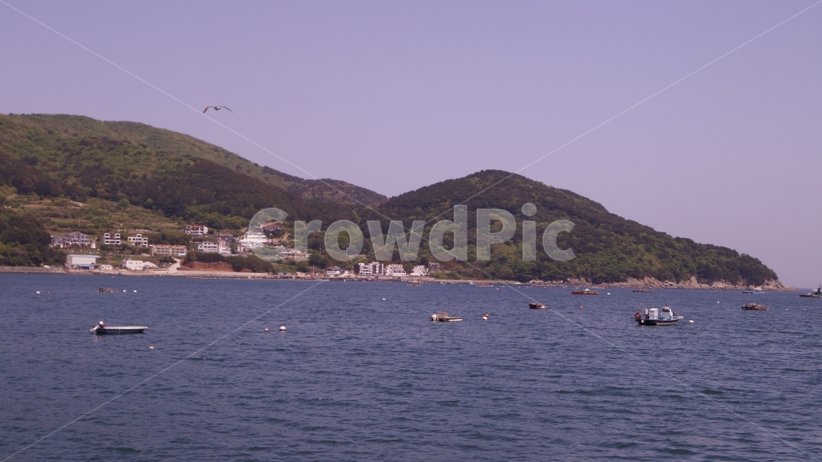 바다,배,해변,시원함,풍경,거제,섬,자연,풍경,nature,landscape,outdoors,옥외,land,땅,sea,water,물,ocean,대양,shoreline,해안선,bird,새,animal,동물