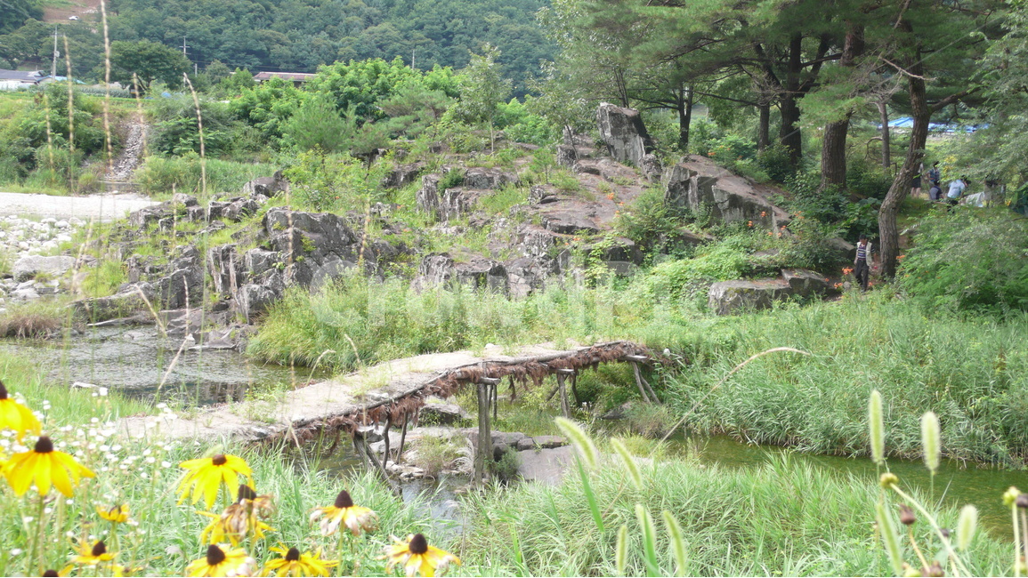 다리,옛날,섶다리,자연,여름,자연,풍경,nature,landscape,한국자연풍경,한국자연경관,korea nature landscape,plant,식물,vegetation,초목