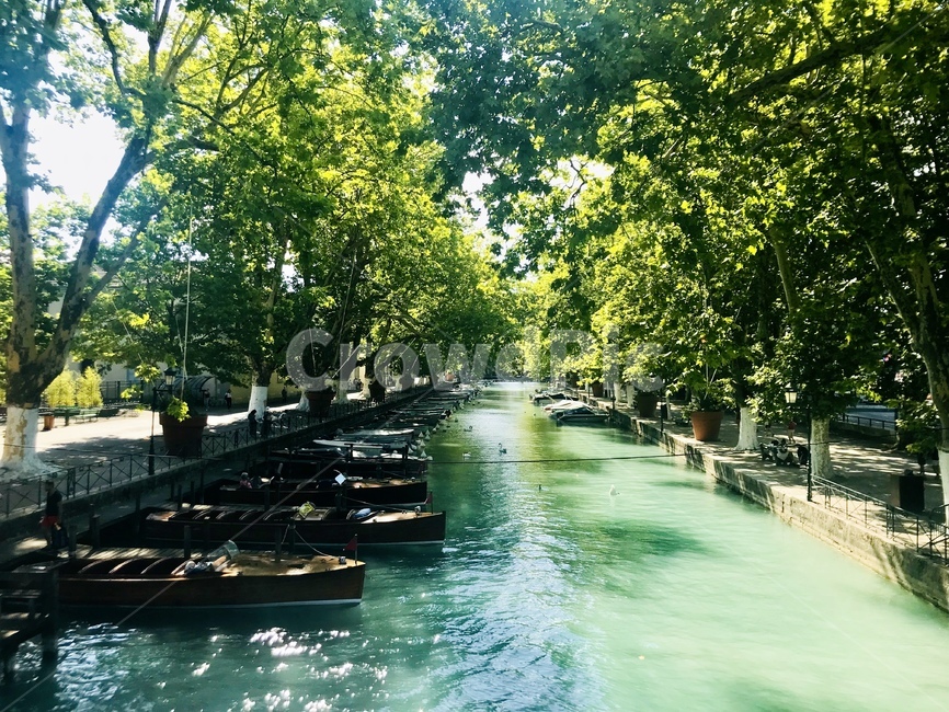 tree,나무,plant,식물,nature,자연,boat,배,강,자연,풍경,nature,landscape