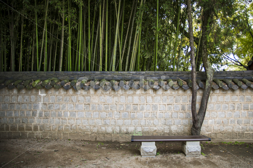 벤치,나무,대나무,담장,기와,한국전통,한국문화,korean traditional,korean culture,건축물,건물외관,exterior,building,structure,architecture,construction