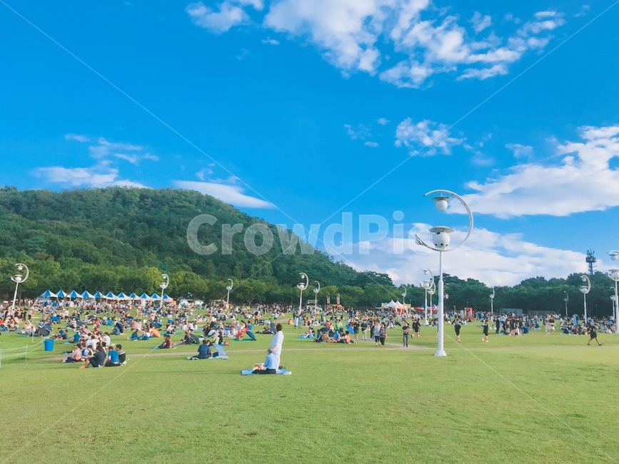 grass,plant,식물,lawn,잔디,outdoors,옥외,park,대구,대구두류공원,두류공원,공원,여름,하늘,구름,자연적,친화적,여유,낮,휴일일상,축제,돗자리,소풍,가로등,잔디밭,감성,휴일,사람들,대중,군중,other people,crowd