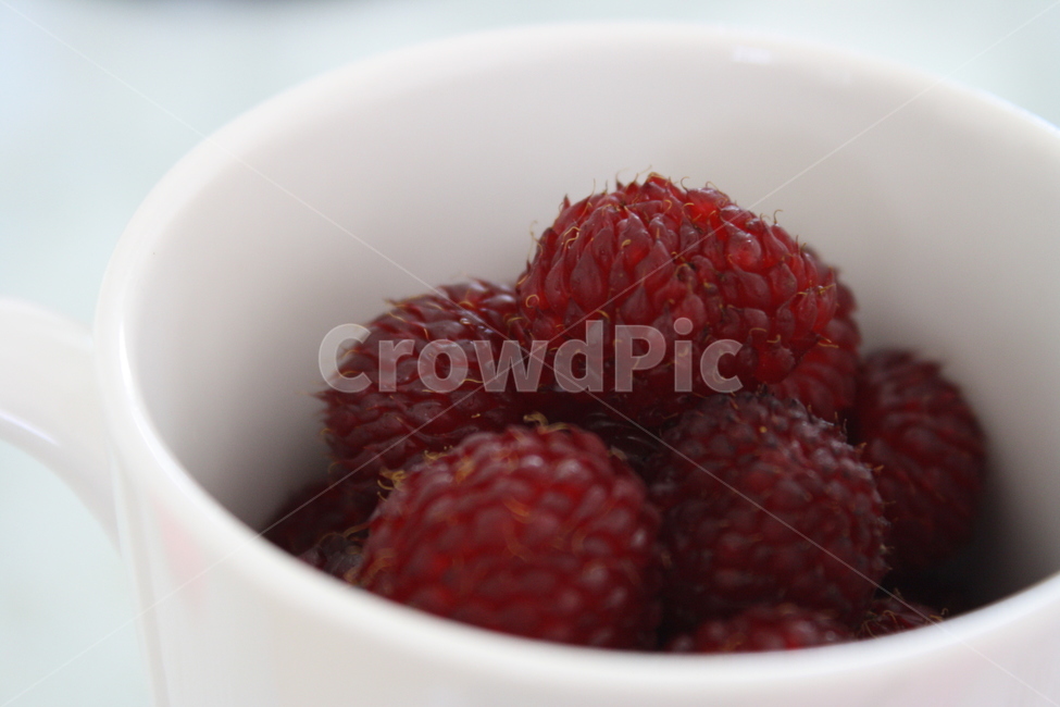 산딸기,딸기,컵,빨강,레드,과일,음식,식재료,요리,food,cook,meal,dishes,food reserves,과일,열매,fruit