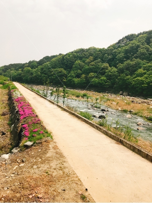 ground,바닥,dirtroad,흙길,gravel,자갈,road,도로,outdoors
