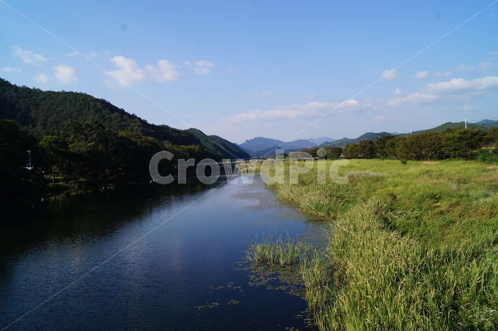냇가,도랑,강가,하천,풍경,여름,자연,풍경,nature,landscape,water,물,outdoors,옥외