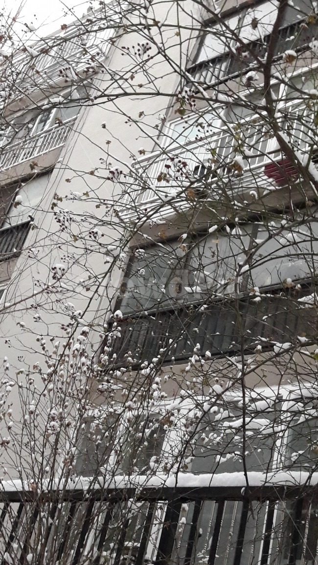 눈,겨울,배경,풍경,흰색,겨울,계절,winter,season