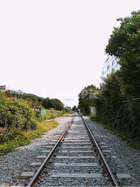철길,부산,부산여행,부산볼거리,미포철길,자연,풍경,nature,landscape,transportation,교통,train track,기찻길,rail,레일,railway,철도,gravel,자갈,dirt road,흙길,road,도로