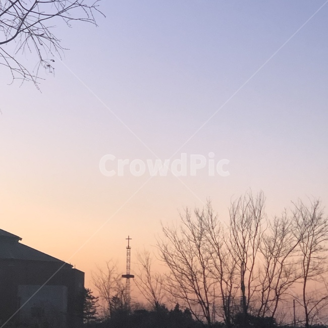 노을,저녁,풍경,나무,연한노을,자연,풍경,nature,landscape,outdoors,옥외,building,건물