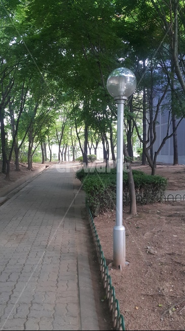 조명,가로등,빛,공원,길,light,등,나무,초록색,trees,park,led,streetlamp,lamp,streetlight
