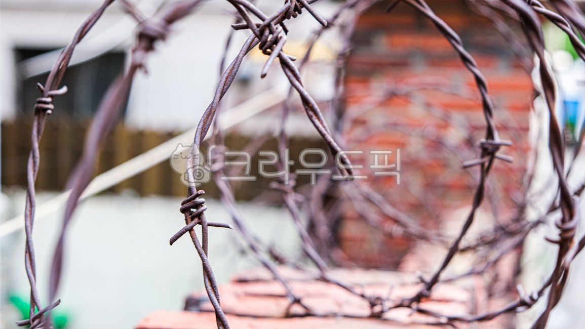 철조망, barbedwire, 철사, 가시철사, wire, 사진,이미지,일러스트,캘리그라피 - 비범영수작가