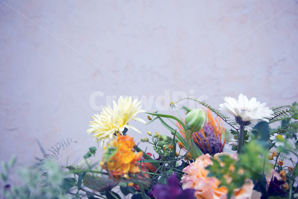 꽃,꽂장식,꽃배경소스,국화,노란색,식물,자연,plants,nature,꽃,flower