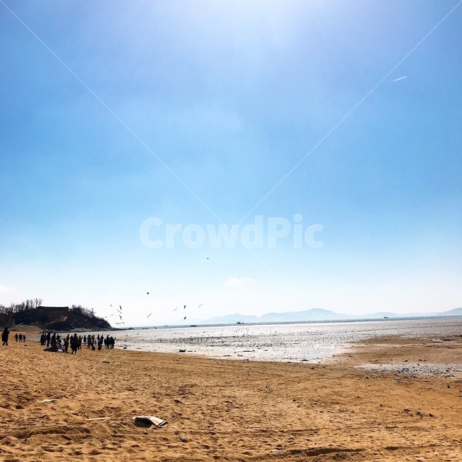 해변,동막해변,인천,서해,바다,간조