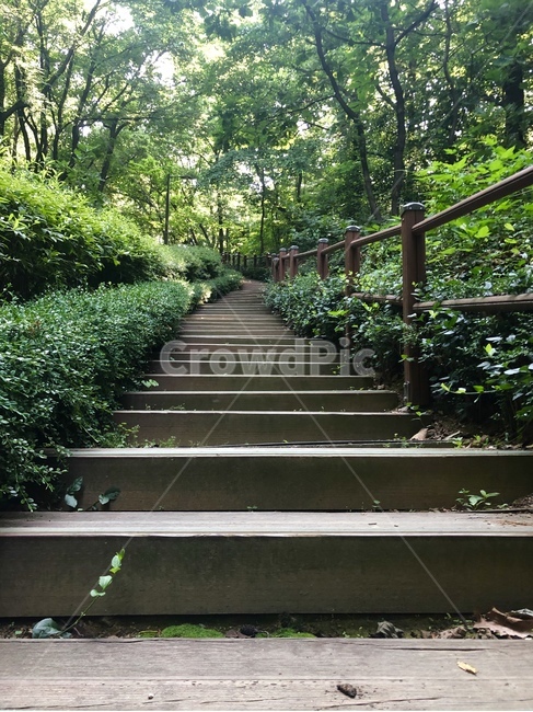 산,등산,나무계단,계단,산책