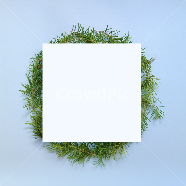 natural,nature,flora,leaf,flower,spring,background image,leaves,background,plant,season,frame