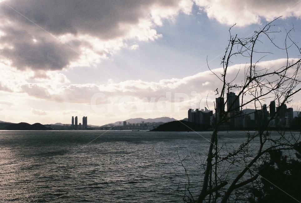 바다,부산,겨울,해운대,필름카메라