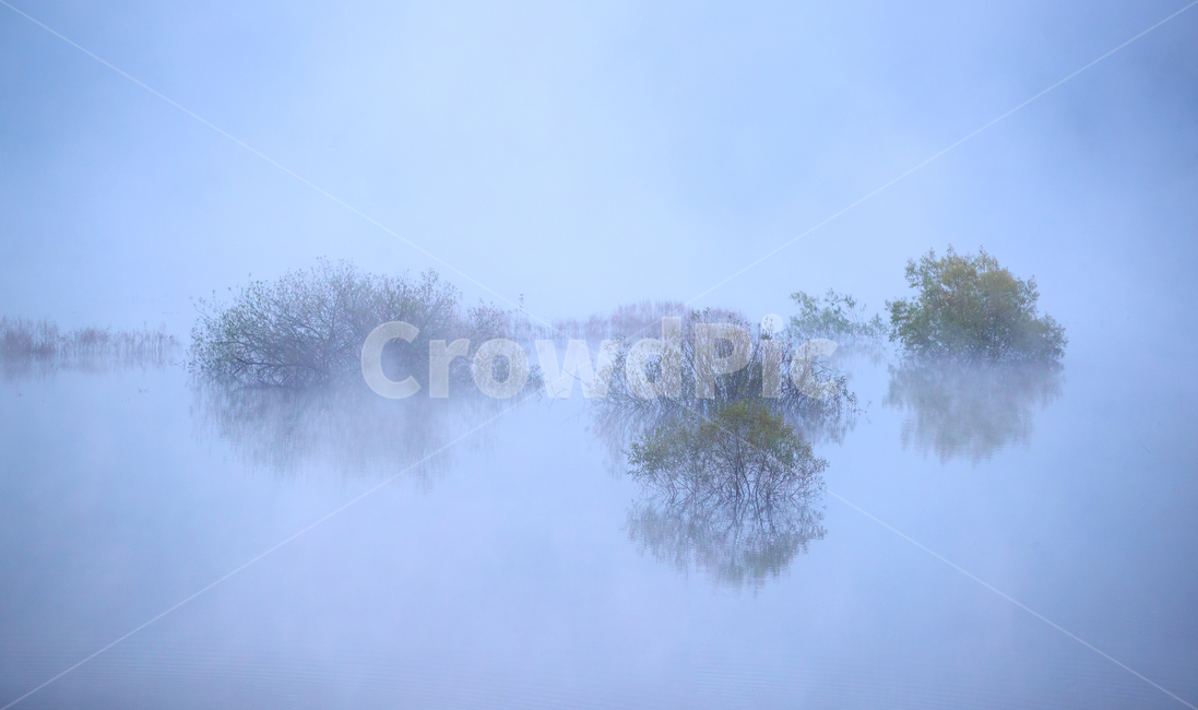 아침,호수,물안개,반영,가을,자연,풍경,nature,landscape,한국자연풍경,한국자연경관,korea nature landscape,outdoors,옥외,weather,날씨