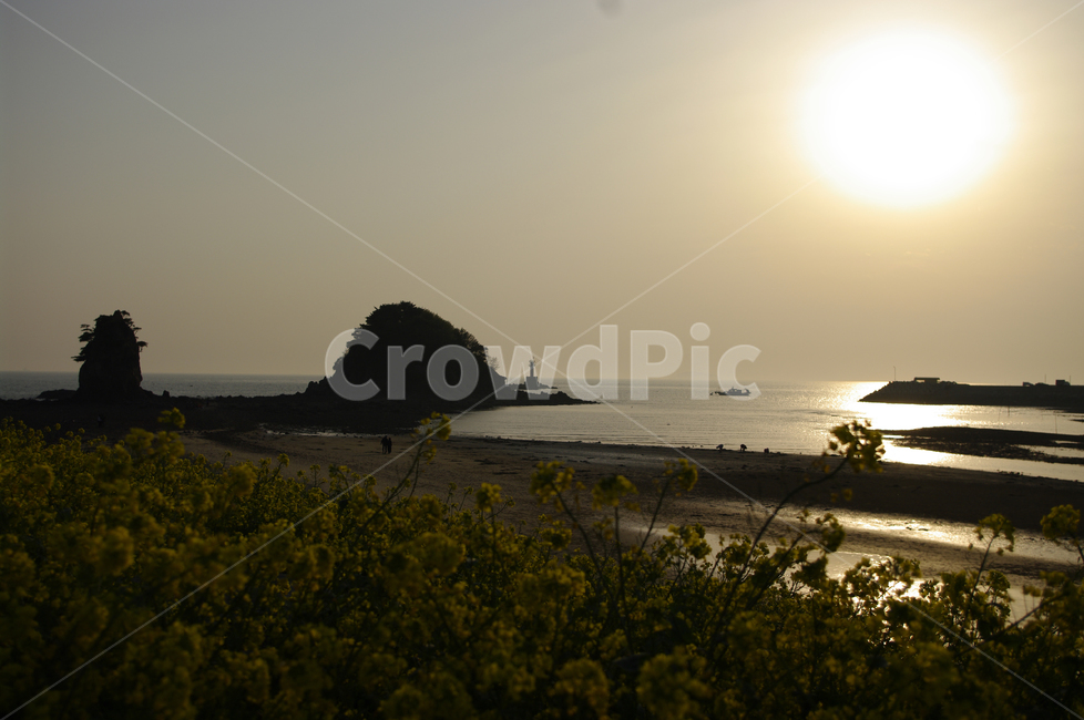 안면도,꽃지해변,바다,석양,풍경,유채꽃,섬,해안,해변,자연,풍경,nature,landscape,flare,플레어,light,빛,sunlight,햇빛