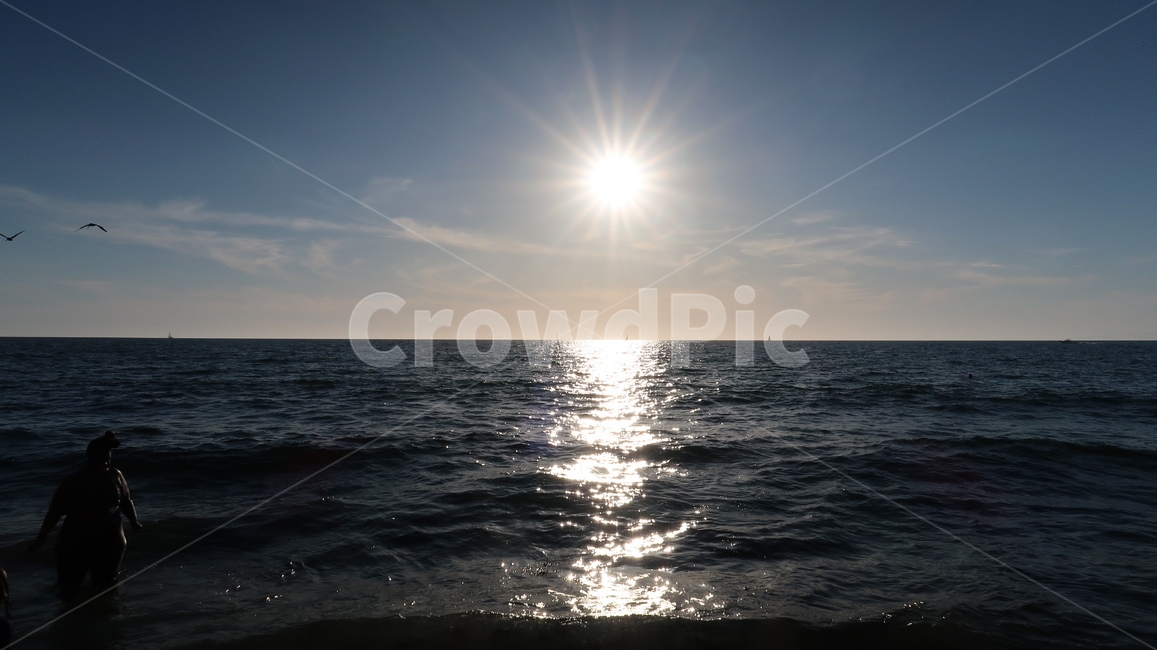 light,햇빛,바다,beach,sunrise,자연,풍경,nature,landscape,flare,플레어,빛,sunlight,animal,동물,bird,새