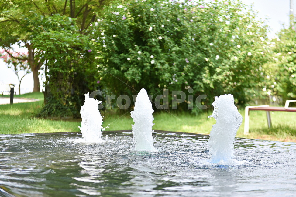 분수,시원함,물,공원,산책,힐링,water,식물,nature