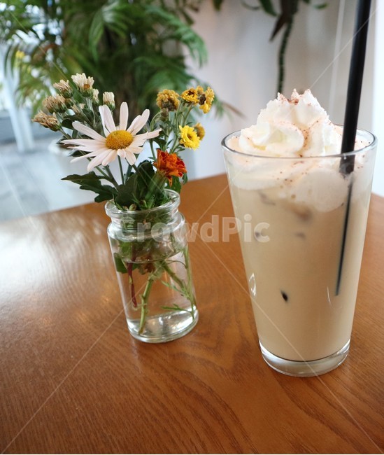 꽃,커피,음료,카페,티타임,실내용화초,화분,화초,house plant,커피,카페,coffee,cafe
