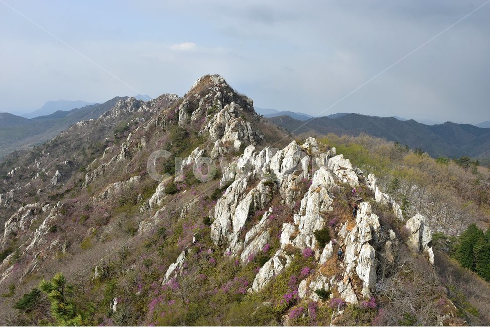 주작산,덕룡산,종주,진달래,풍경,기암,바위,비경,봄풍경,진달래꽃,강진,명산,산행,등산,마운틴,힐링,mountain,landscape,자연,natural,봄,계절,spring,season,자연,풍경,nature,landscape,한국자연풍경,한국자연경관,korea nature landscape,outdoors,옥외,slope,경사,산,mountain range,산맥