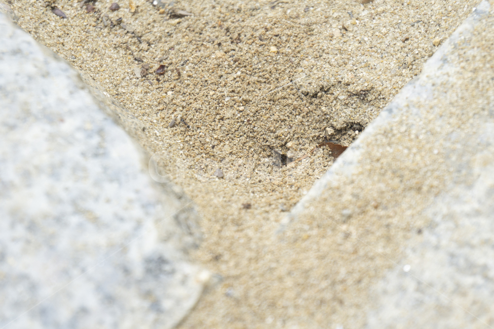 흙,모래,sand,모래알,soil