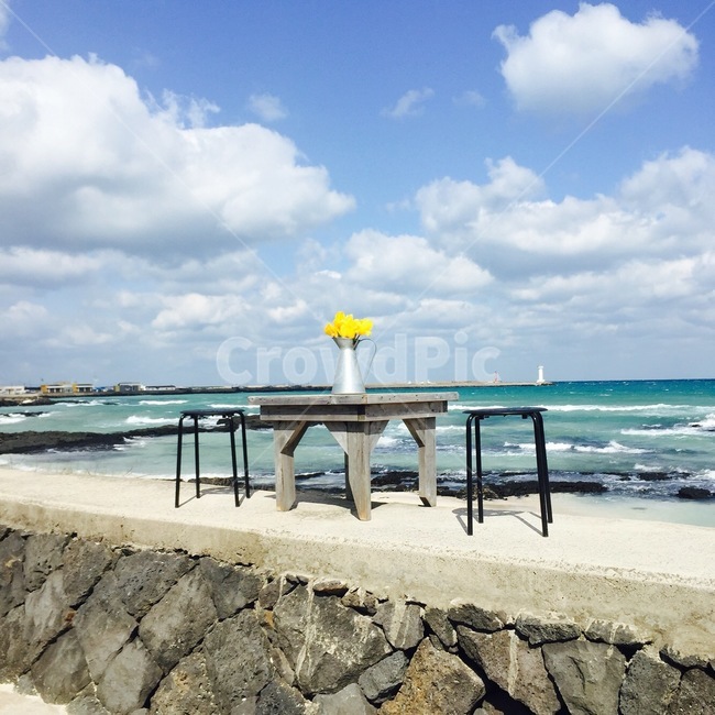바다,하늘,감성,나무,풍경,여유,한국,자연,풍경,nature,landscape,제주도,jeju,jeju island,water,물,waterfront,워터 프론트,pier,교각,dock,독,port,포트