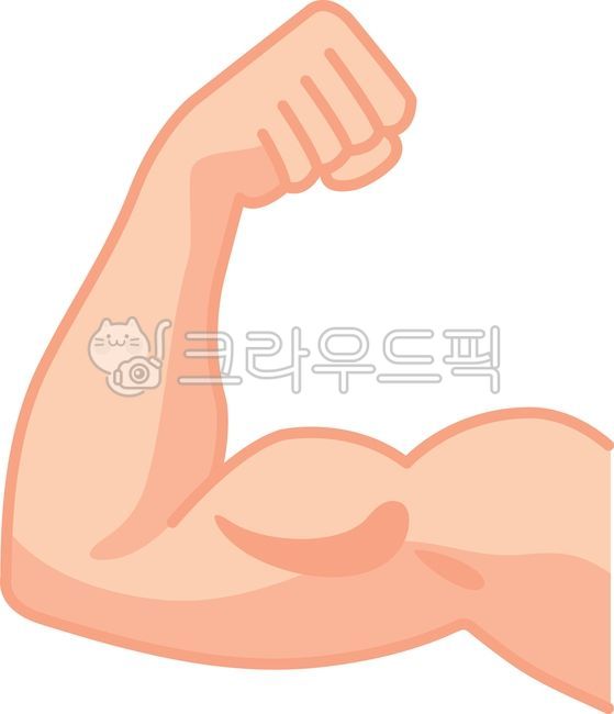 팔,팔뚝,알통,이두박근,삼두박근,근육,힘,주먹,파워