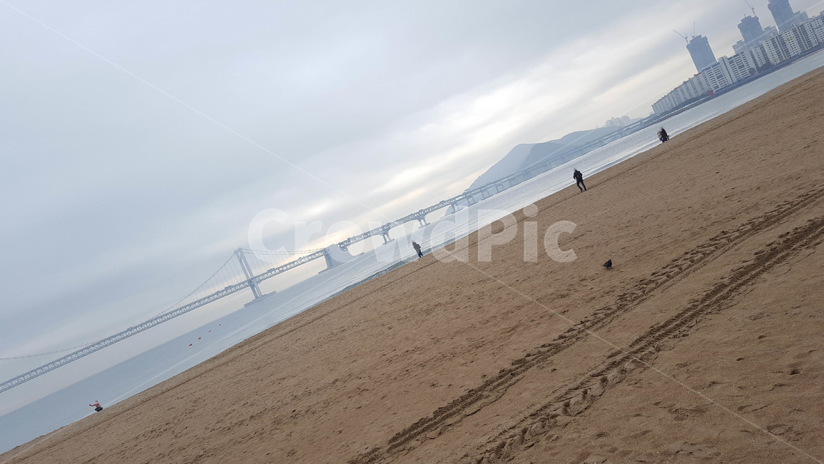풍경,바다,모래사장,다리,해무