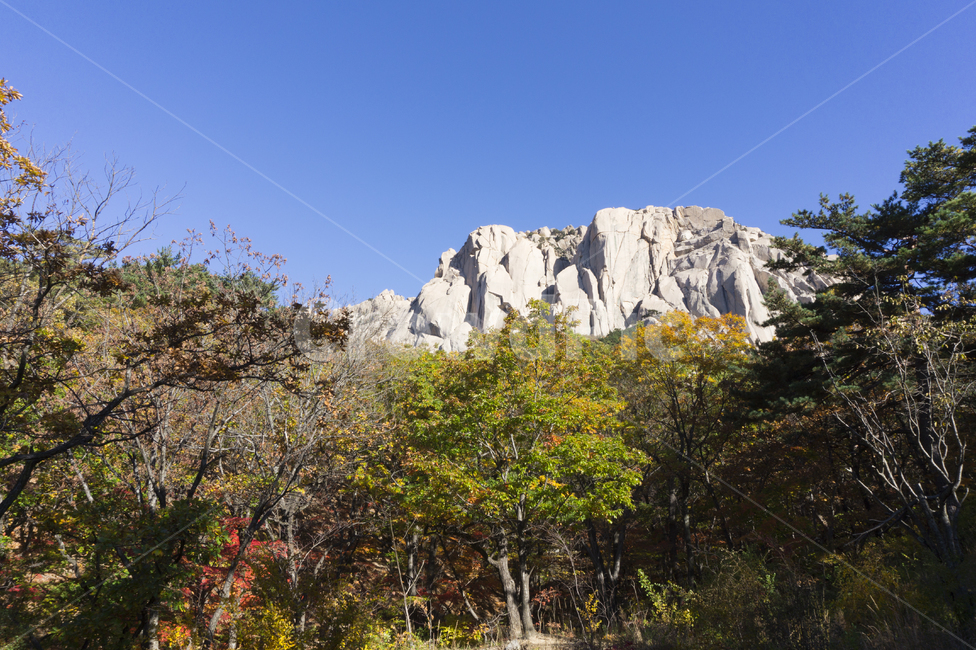 풍경,자연,설악산,단풍,권금성,속초,강원도,정상,경관,장관,산,나무,봉우리,능선,전망,가을,등산,국립공원,명소,바위,하늘,경치,고산지대,협곡,울산바위,야외,한국자연풍경,한국자연경관,korea nature landscape