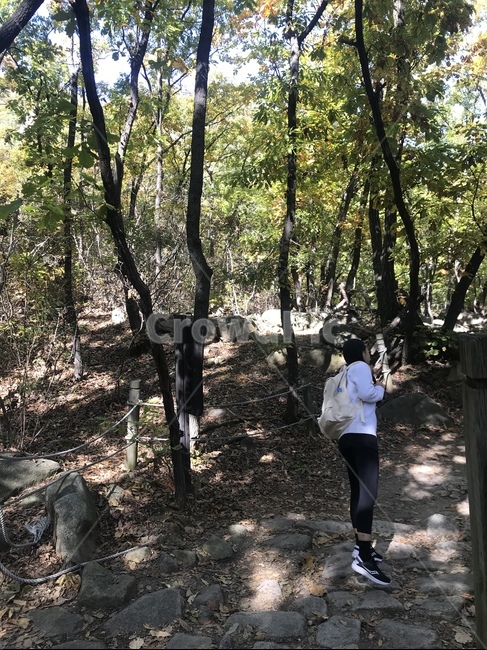 여자,등산길,등산가방,공기,돌길