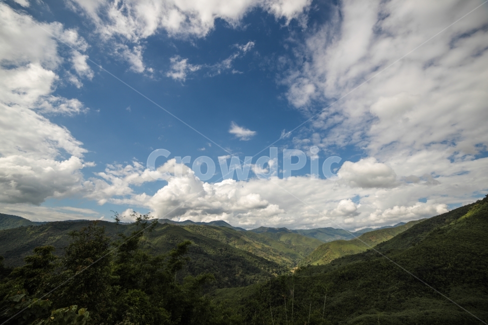 태국,치앙마이,밀림,밀림여행,해외여행,자연,풍경,nature,landscape,해외,외국,세계,foreign,oversea,world,세계자연풍경,해외자연풍경,외국자연풍경,world nature landscape,outdoors,옥외