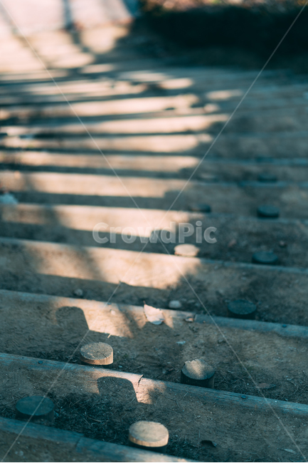 계단,동네,풍경,배경화면,길,도로,landscape,나무,감성,sensible,feeling