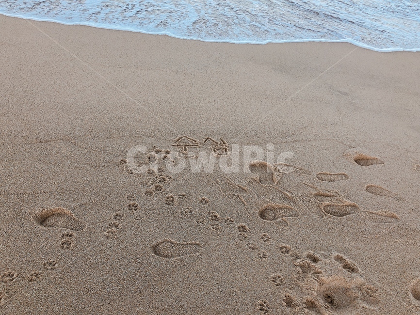 모래,자연,outdoors,sand,nature,rug,옥외,해변,바다,beach,sea