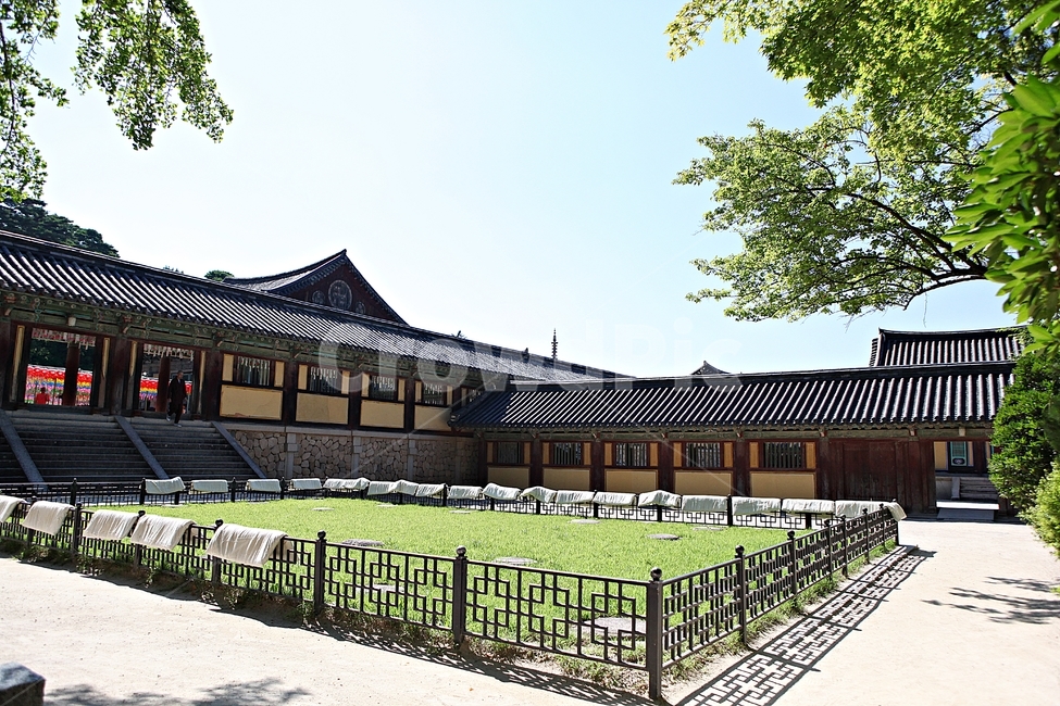 경주,불국사,절,사찰,국보,보물,전통,기와집,여름,집,한옥