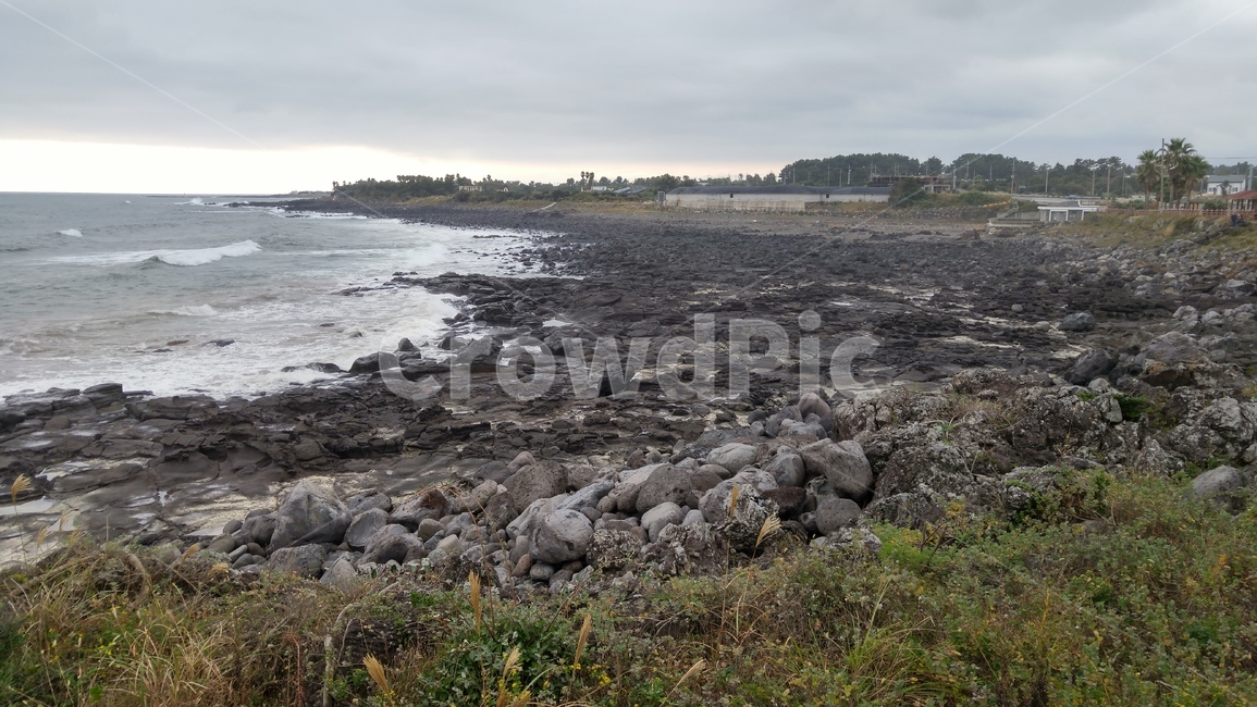 제주,제주도,해안,바다,바닷가,파도,풀,풀숲,grass,plant,잔디,식물,자연,풍경,nature,landscape