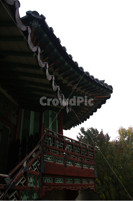 창덕궁,고궁,건축,전통건축,traditional,전통,단청,기와지붕,한국전통,한국문화,korean traditional,korean culture,건축물,건물외관,exterior,building,structure,architecture,construction