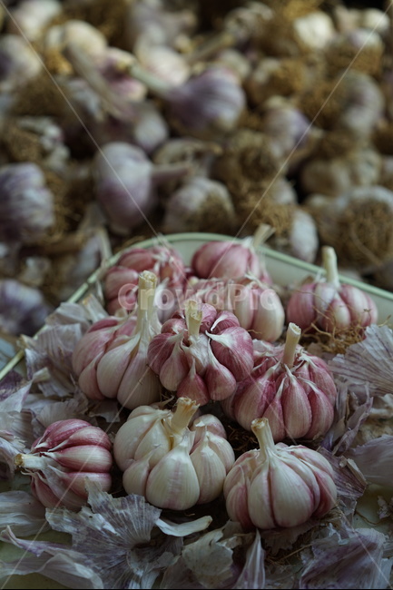 마늘,식재료,갈릭,garlic,통마늘,음식,식재료,요리,food,cook,meal,dishes,food reserves,채소,야채,vegetables