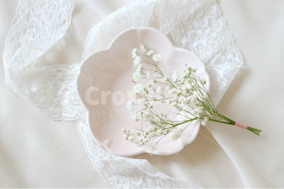 접시,꽃,안개꽃,분홍,감성사진,그릇,분홍색,하얀색,pink,white,flower,flowers,레이스,꽃,flower,감성,sensible,feeling,연출,컨셉,콘셉,direction,concept