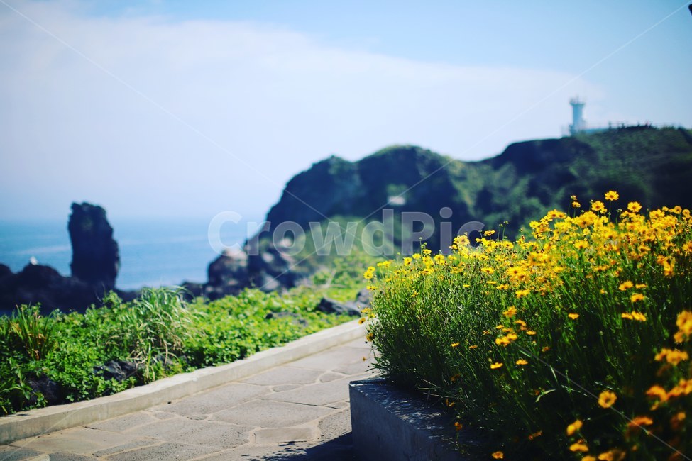 제주,jeju,섭지코지,자연,섬,자연,풍경,nature,landscape,제주도,jeju,jeju island