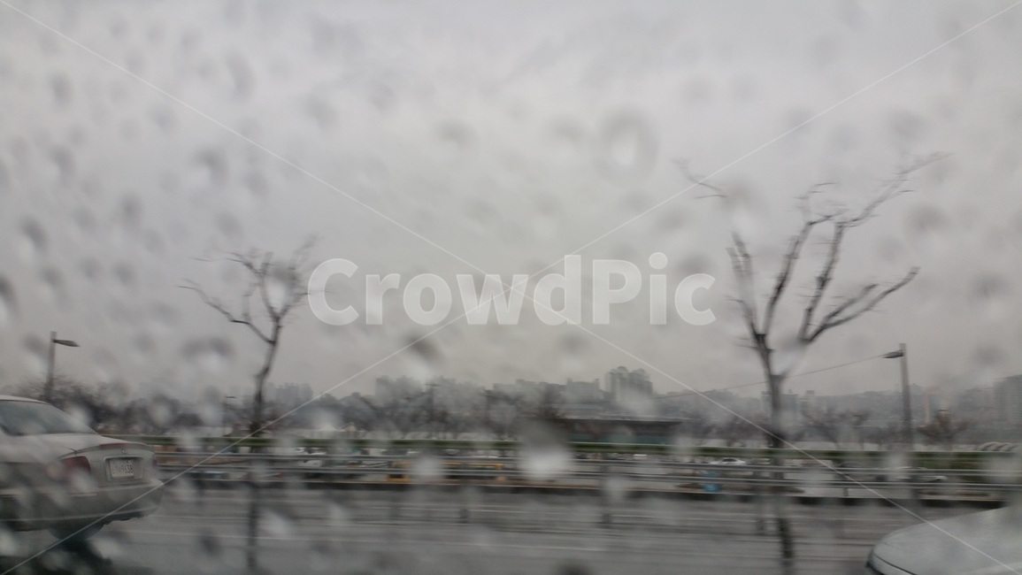 비,rain,겨울비,빗방울,비오는날,자동차,난간,감성,감성사진,나무,tree,나뭇가지,도로,자연,nature,날씨,weather,비,비오는날,rain,rainy