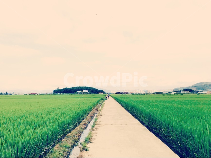 눈,길,하늘,초록색,파란색,자연,풍경,nature,landscape
